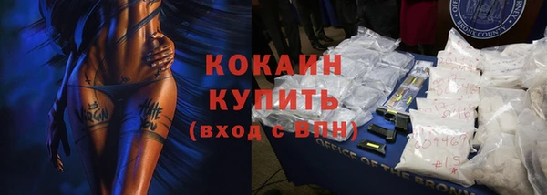 амф Пересвет