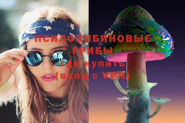 амф Пересвет