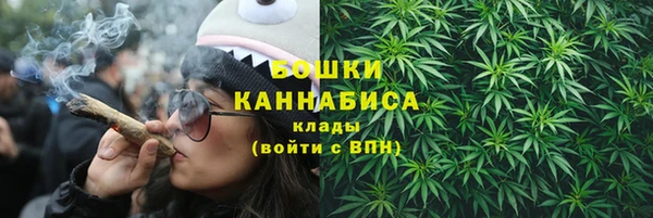 дмт Арсеньев